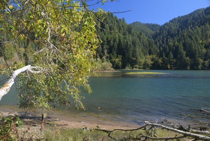 the Umpqua River